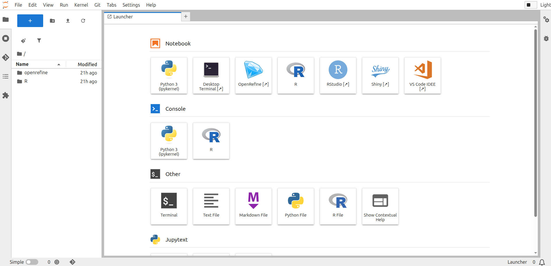JupyterLab environment after server start